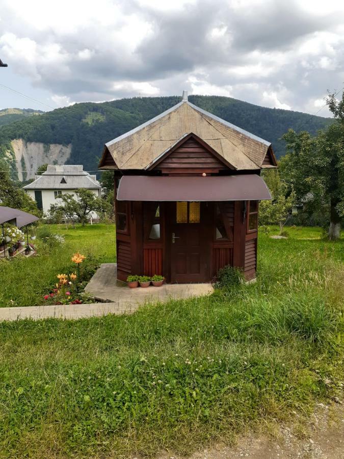 Kатруся Hotel Yaremche Bagian luar foto